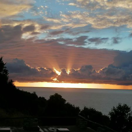 Coin De Paradis Vue Dominante Sur Mer, Montagne Et Tour Genoise Avec Jacuzzi Pino エクステリア 写真