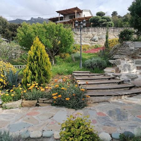 Coin De Paradis Vue Dominante Sur Mer, Montagne Et Tour Genoise Avec Jacuzzi Pino エクステリア 写真