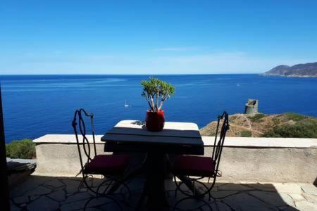 Coin De Paradis Vue Dominante Sur Mer, Montagne Et Tour Genoise Avec Jacuzzi Pino エクステリア 写真