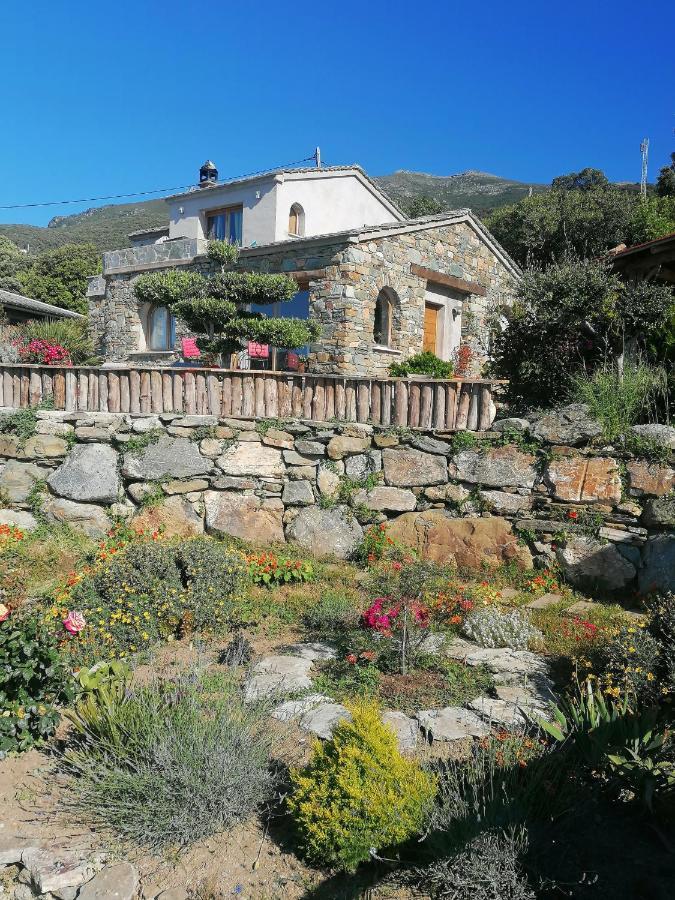 Coin De Paradis Vue Dominante Sur Mer, Montagne Et Tour Genoise Avec Jacuzzi Pino エクステリア 写真