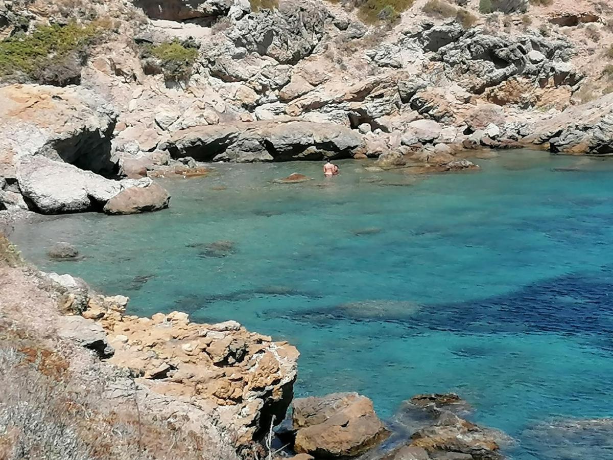 Coin De Paradis Vue Dominante Sur Mer, Montagne Et Tour Genoise Avec Jacuzzi Pino エクステリア 写真