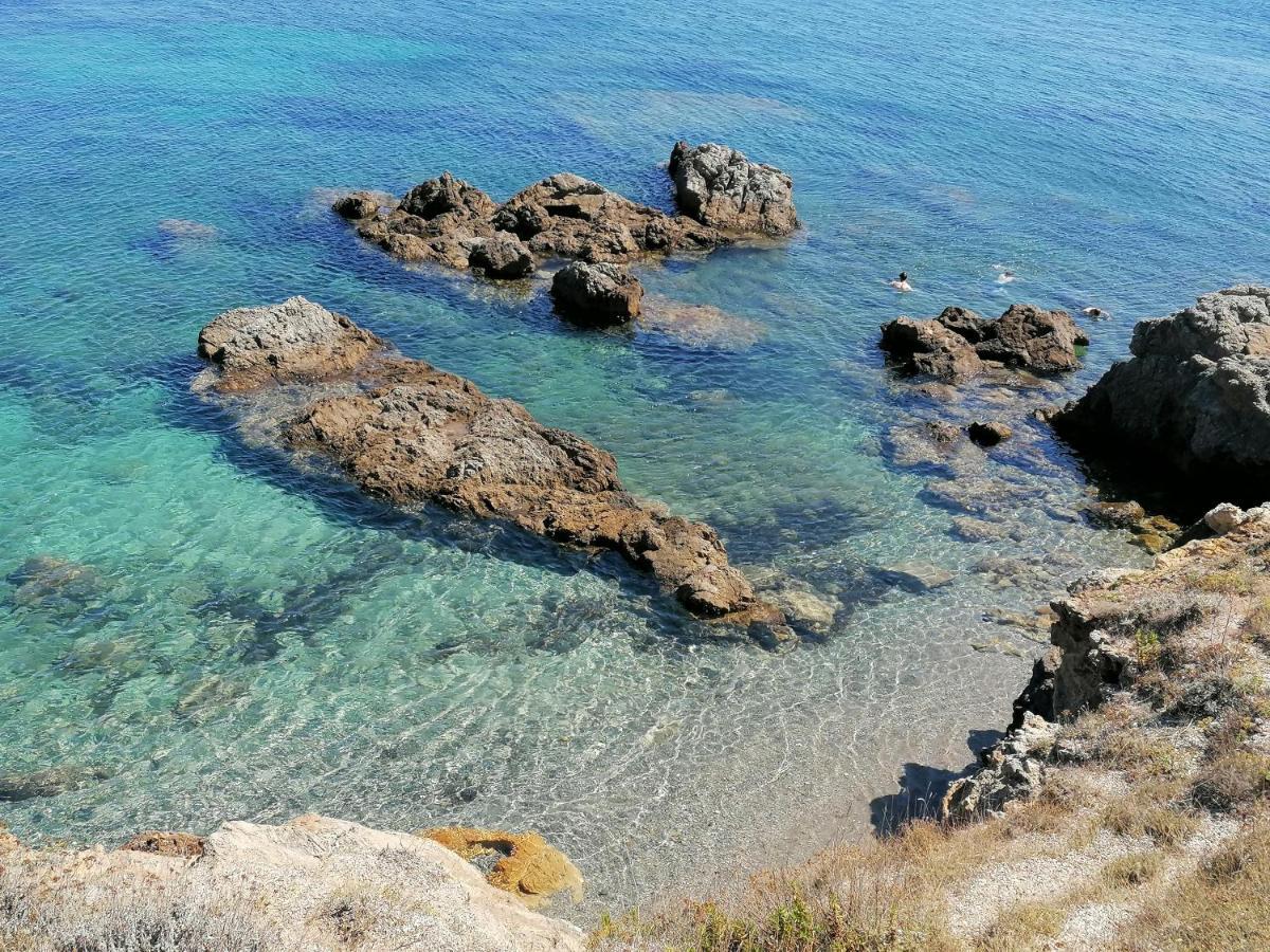 Coin De Paradis Vue Dominante Sur Mer, Montagne Et Tour Genoise Avec Jacuzzi Pino エクステリア 写真