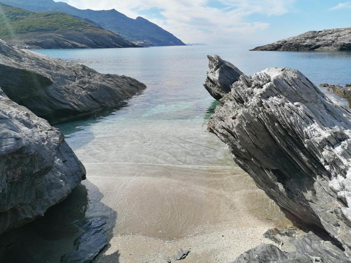 Coin De Paradis Vue Dominante Sur Mer, Montagne Et Tour Genoise Avec Jacuzzi Pino エクステリア 写真