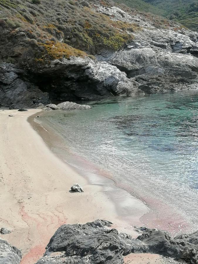 Coin De Paradis Vue Dominante Sur Mer, Montagne Et Tour Genoise Avec Jacuzzi Pino エクステリア 写真