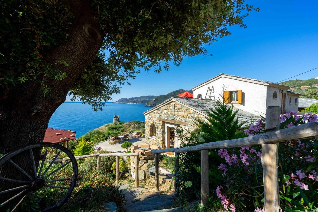 Coin De Paradis Vue Dominante Sur Mer, Montagne Et Tour Genoise Avec Jacuzzi Pino エクステリア 写真