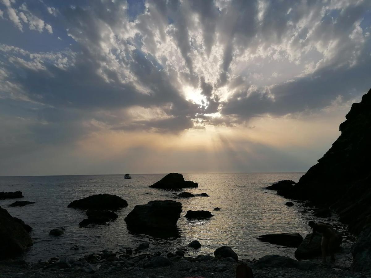 Coin De Paradis Vue Dominante Sur Mer, Montagne Et Tour Genoise Avec Jacuzzi Pino エクステリア 写真